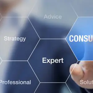 Consulting Services