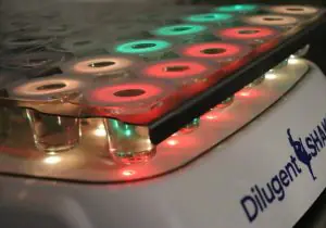 dilugent shaker standard colors